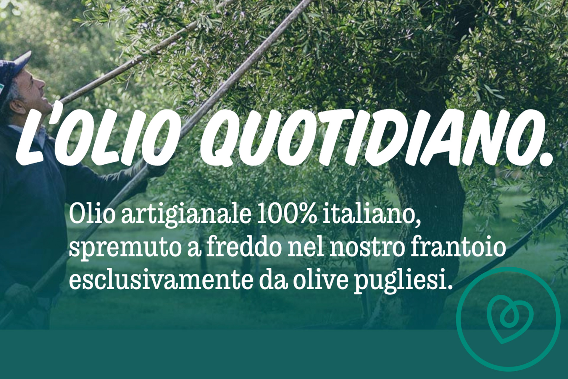 copertina_dimolfetta