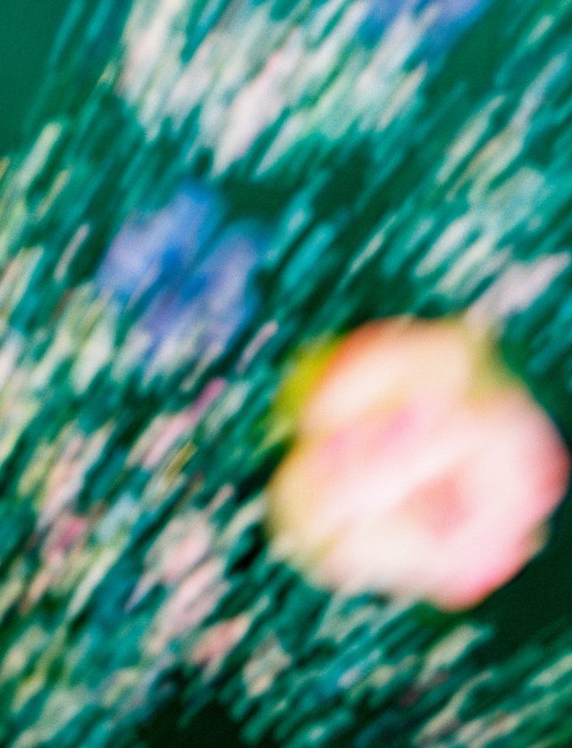 servizi_antonioallegri